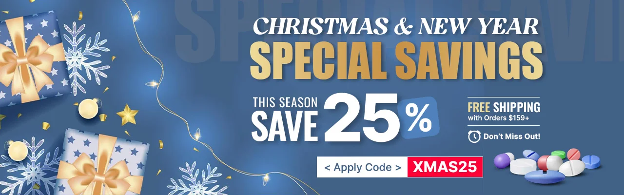 Christmas and New Year Holiday Sale